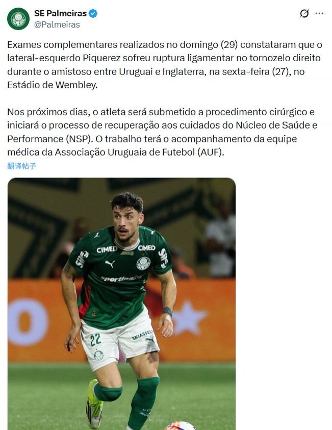 九游娱乐-战英格兰受伤，帕尔梅拉斯官方：乌拉圭后卫皮克雷斯脚踝韧带撕裂